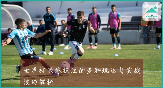 世界杯买球投注的多种玩法与实战技巧解析