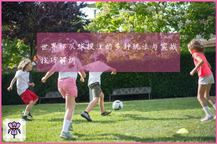 世界杯买球投注的多种玩法与实战技巧解析