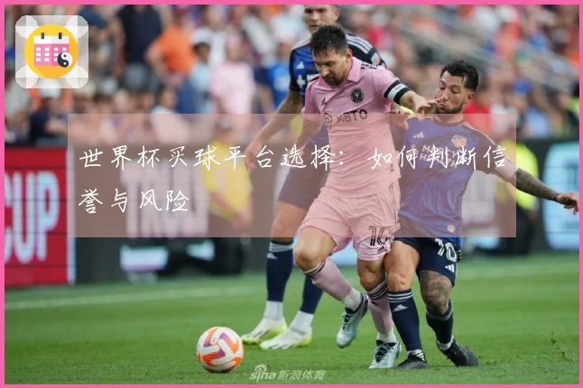 世界杯买球平台选择：如何判断信誉与风险