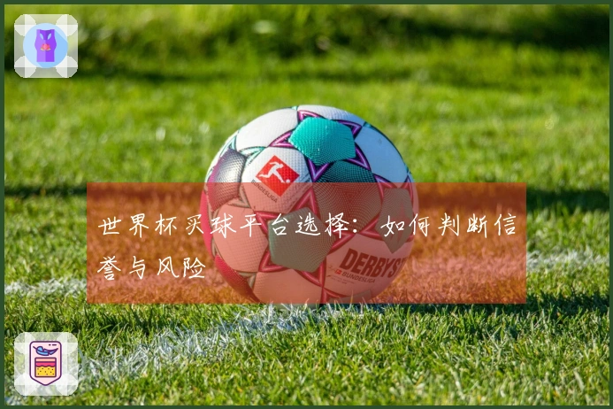 世界杯买球平台选择：如何判断信誉与风险